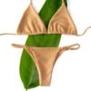 exoticcomforthi